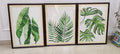 99 Watercolour Botanical Paintings | Set of 3