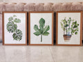 100 Watercolour Botanical Paintings | Set of 3