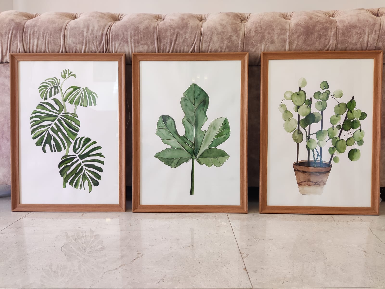 100 Watercolour Botanical Paintings | Set of 3